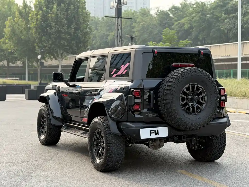 Ford Bronco (Import) — фото 13