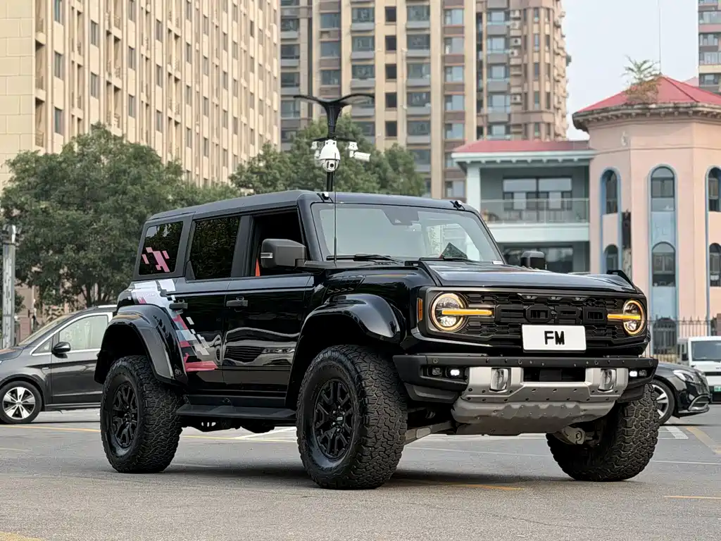 Ford Bronco (Import) — фото 4