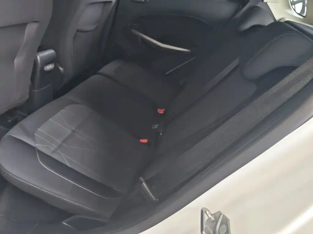 Ford Ecosport — фото 17