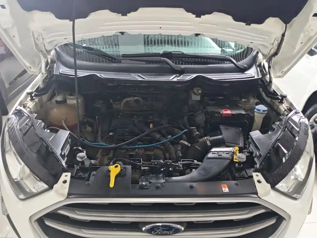 Ford Ecosport — фото 20