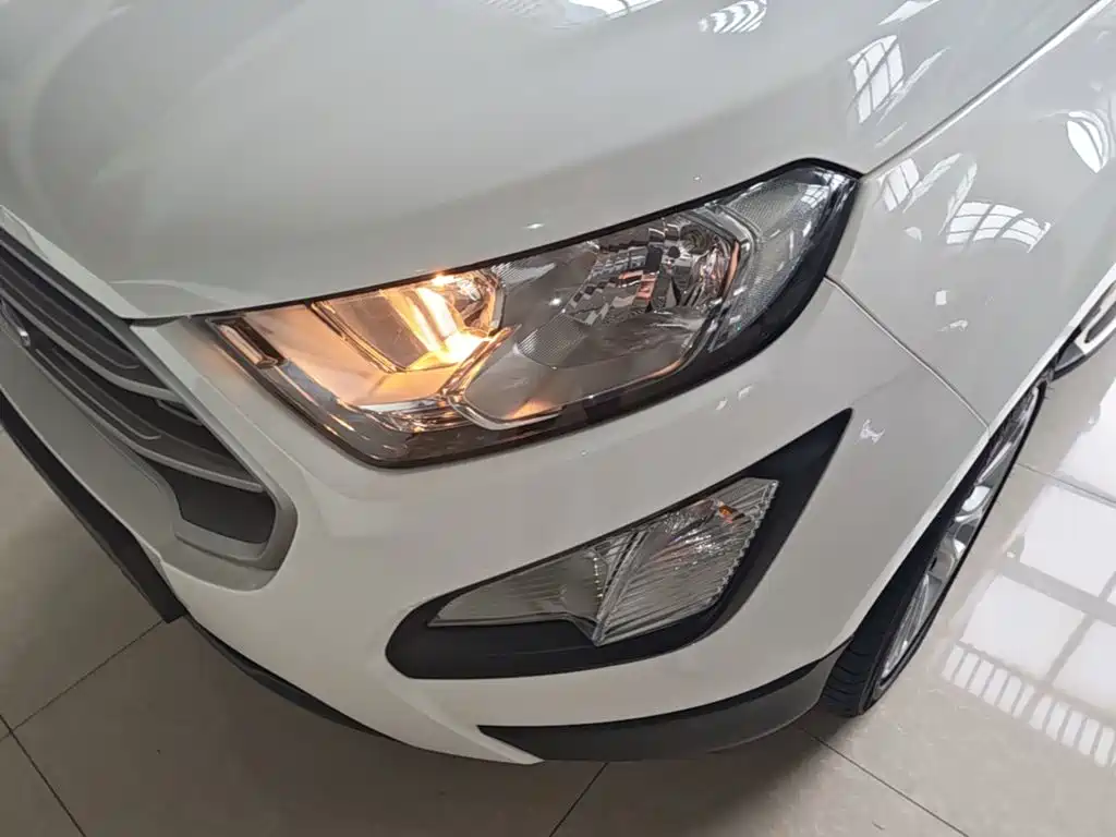 Ford Ecosport — фото 24