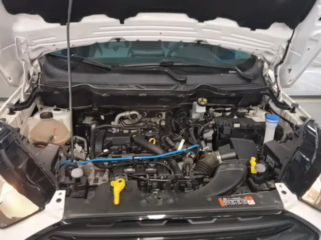 Ford Ecosport — фото 20