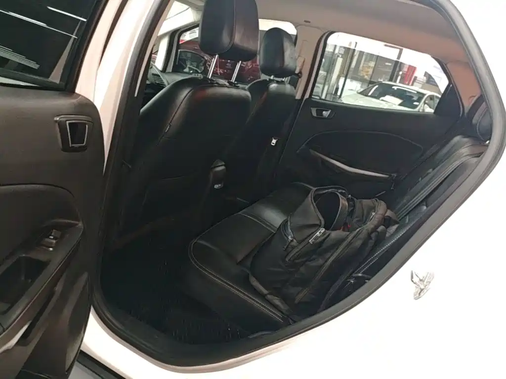 Ford Ecosport — фото 17