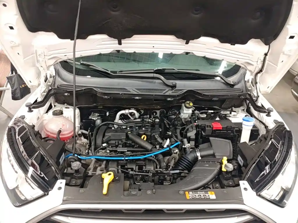 Ford Ecosport — фото 20