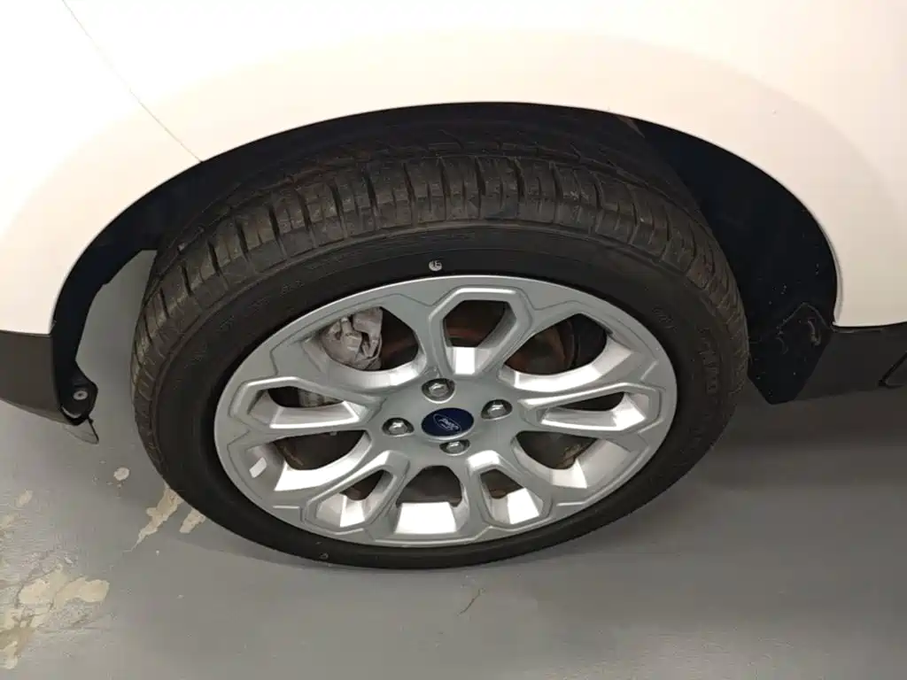 Ford Ecosport — фото 23
