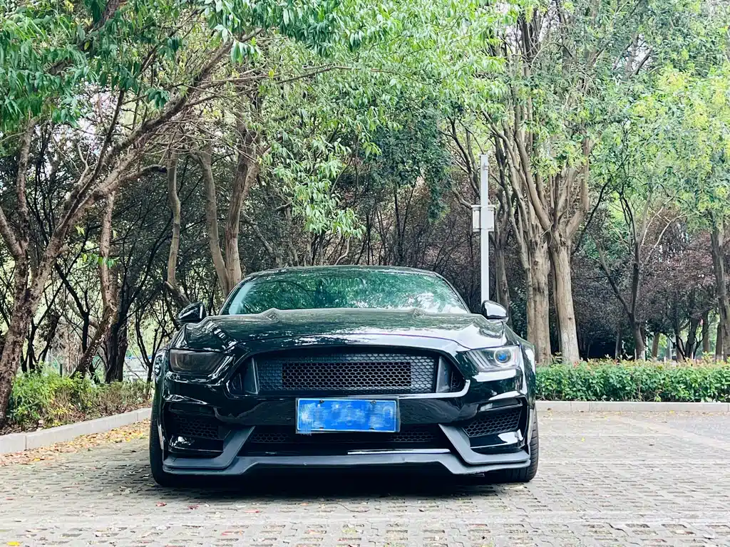 Ford Mustang — фото 2