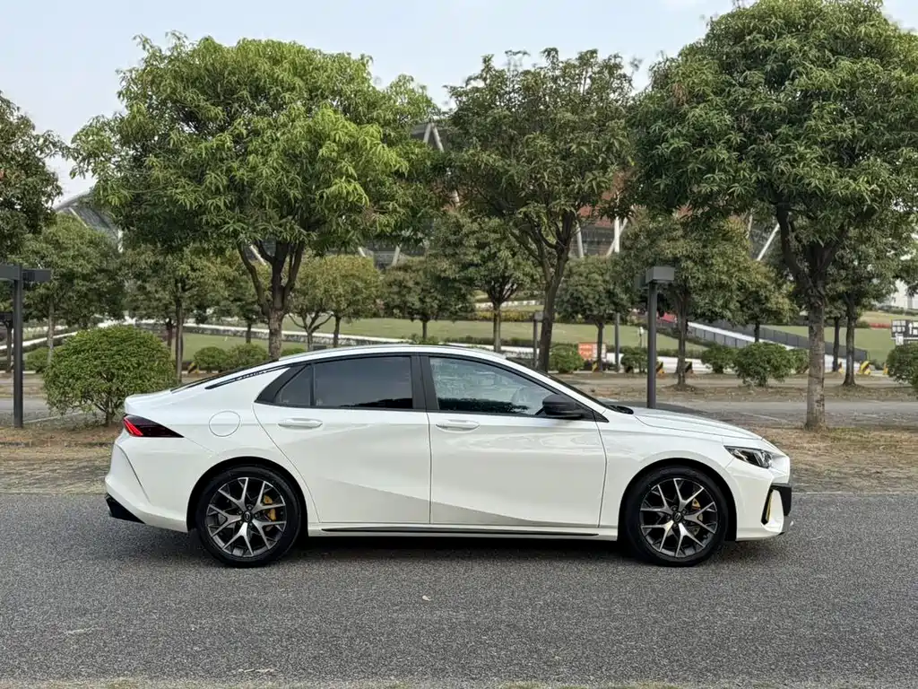 GAC Motor Shadow Leopard — фото 17