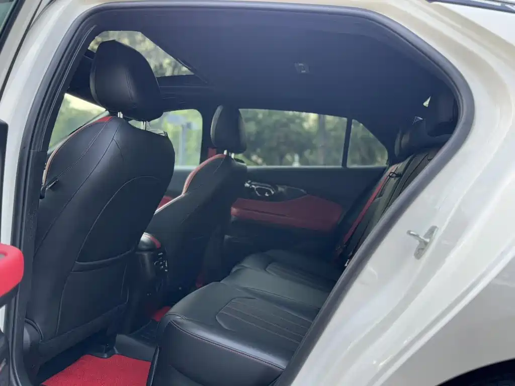 GAC Motor Shadow Leopard — фото 8