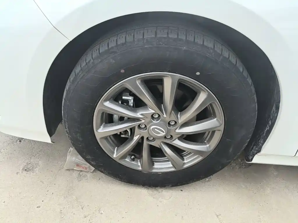 GAC Motor Shadow Leopard — фото 23