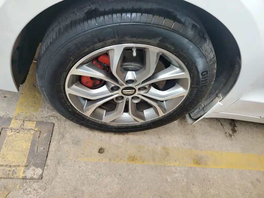 Geely Borui — фото 25