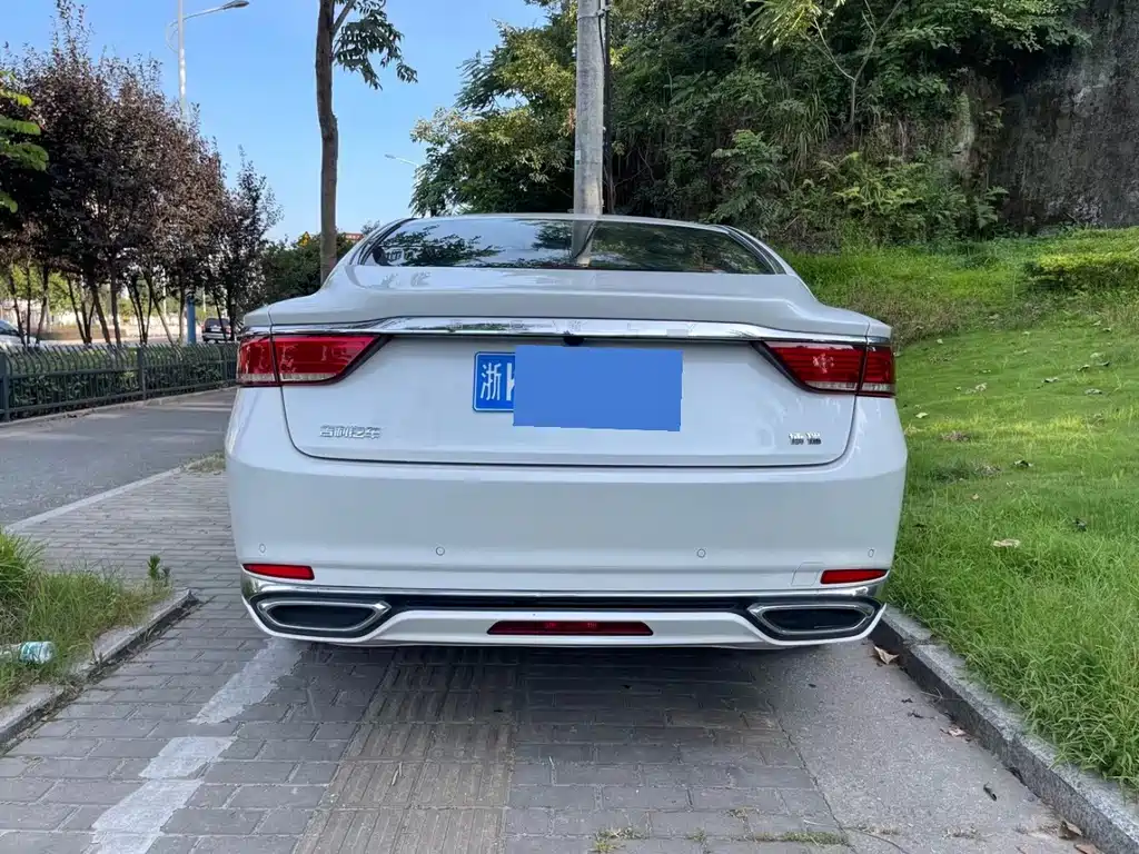 Geely Borui — фото 8