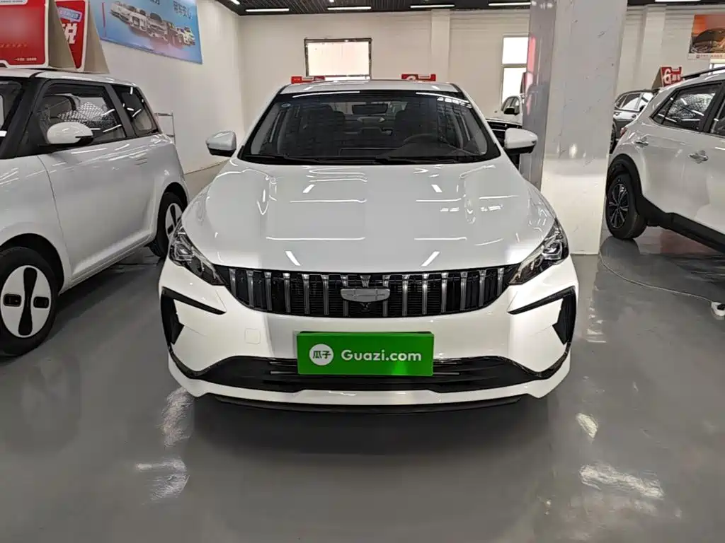 Geely Binrui — фото 3