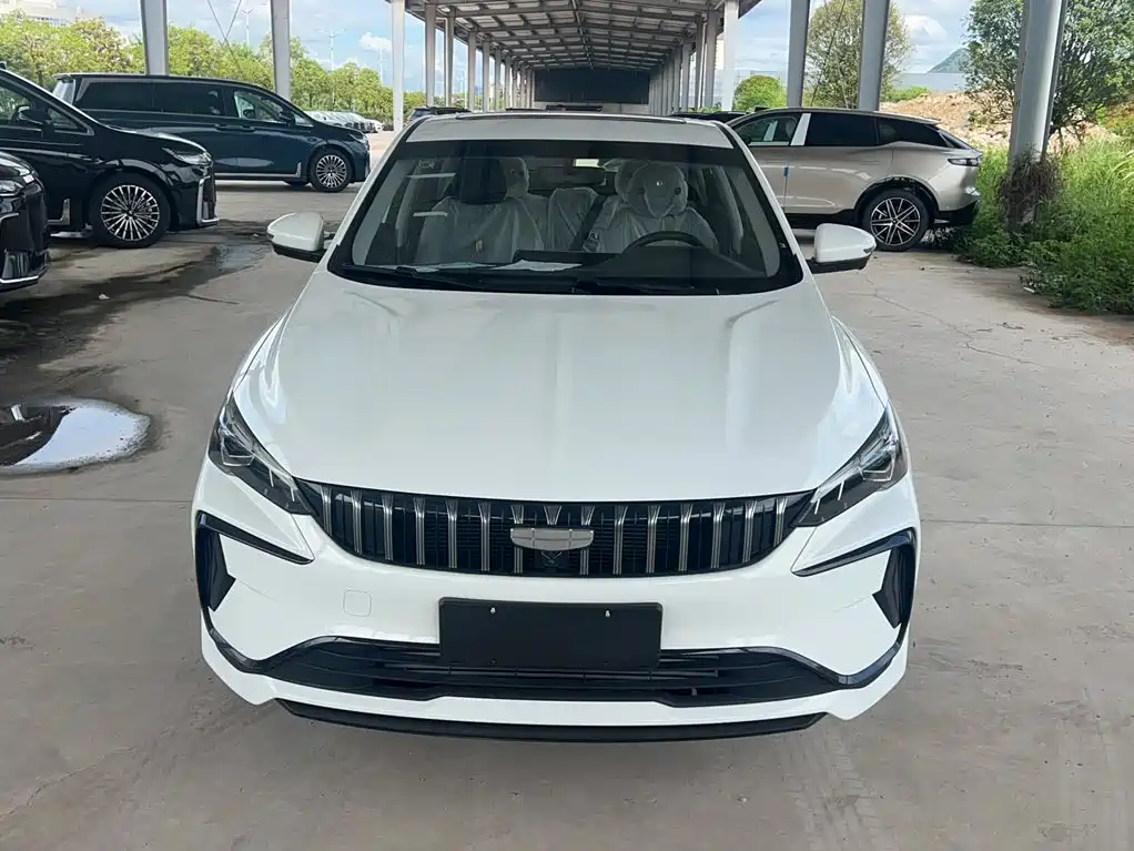 Geely Binrui — фото 6