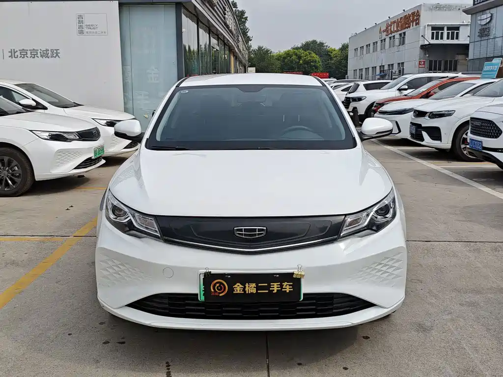 Geely New Energy — фото 6