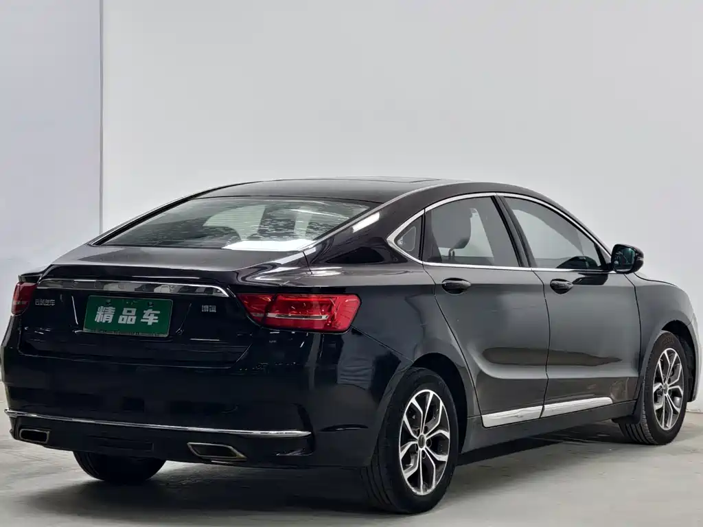 Geely Borui — фото 4