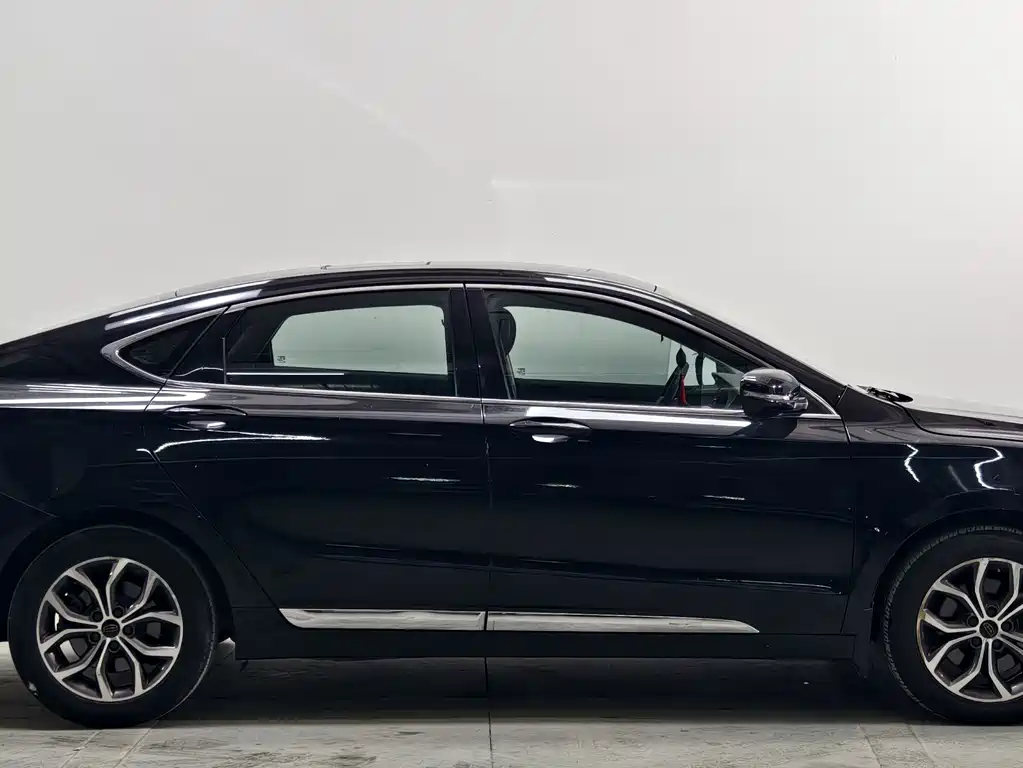 Geely Borui — фото 8