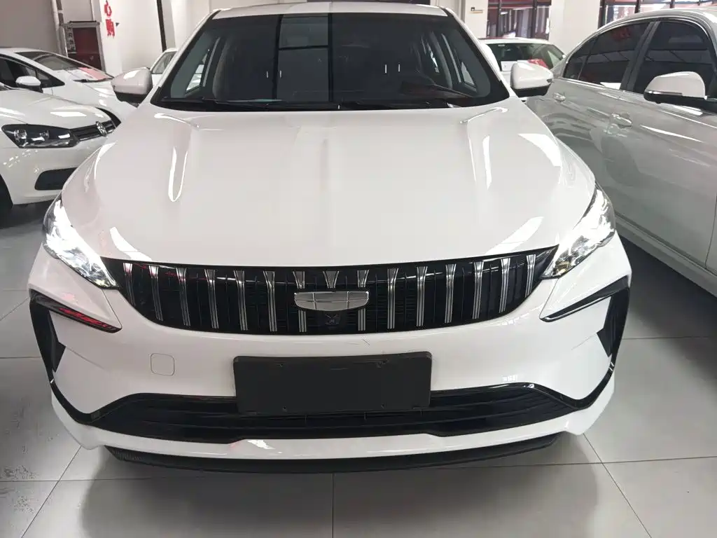 Geely Binrui — фото 3