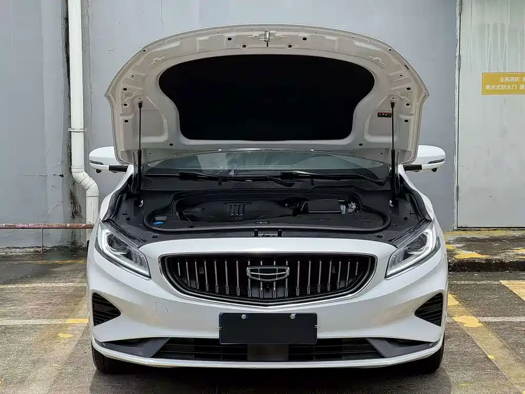 Geely Borui — фото 11