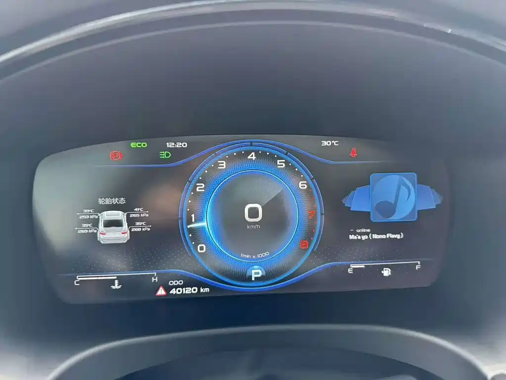 Geely Borui — фото 24