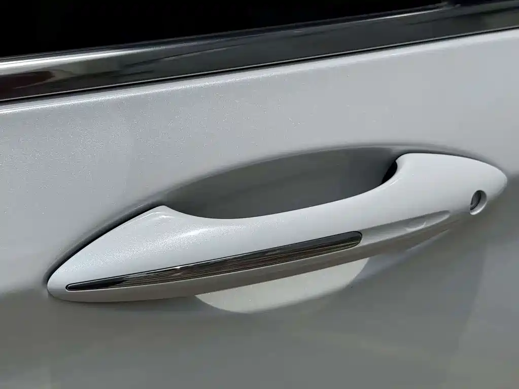 Geely Borui — фото 9