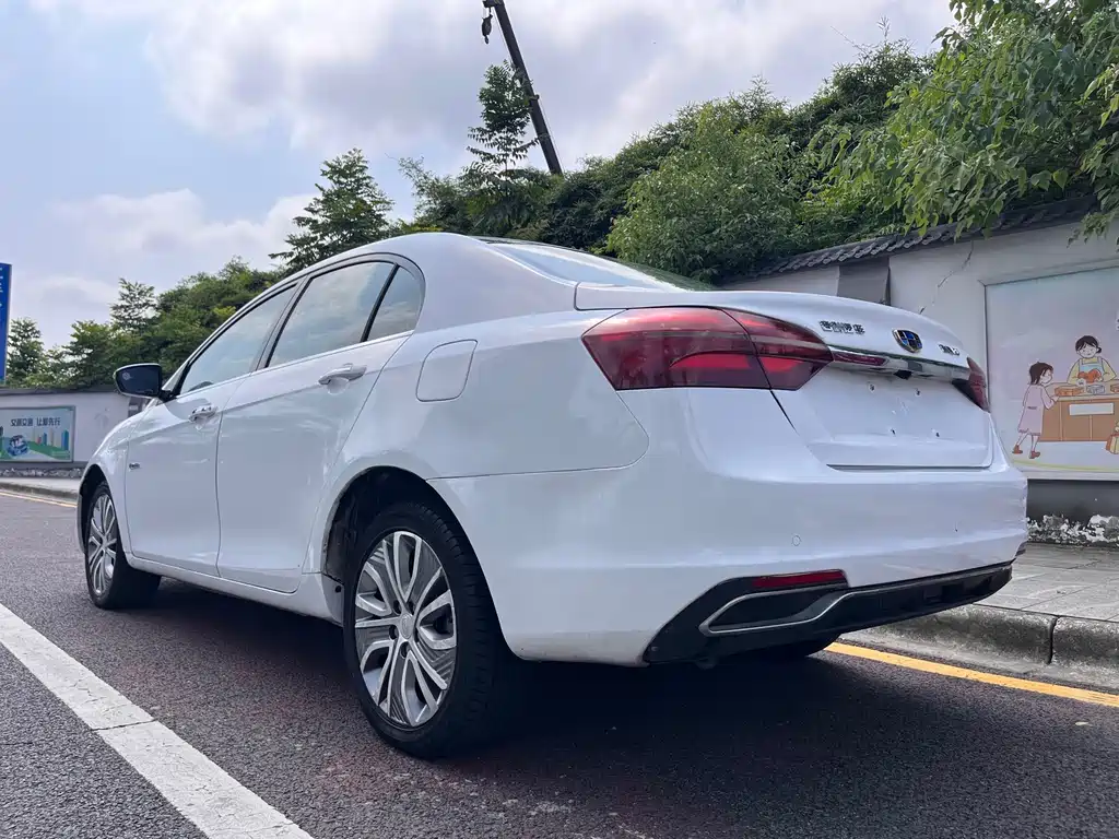 Geely New Energy — фото 11