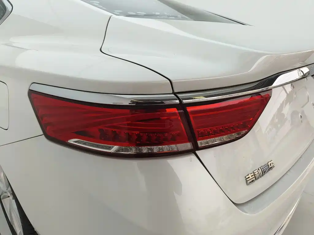 Geely Borui — фото 14