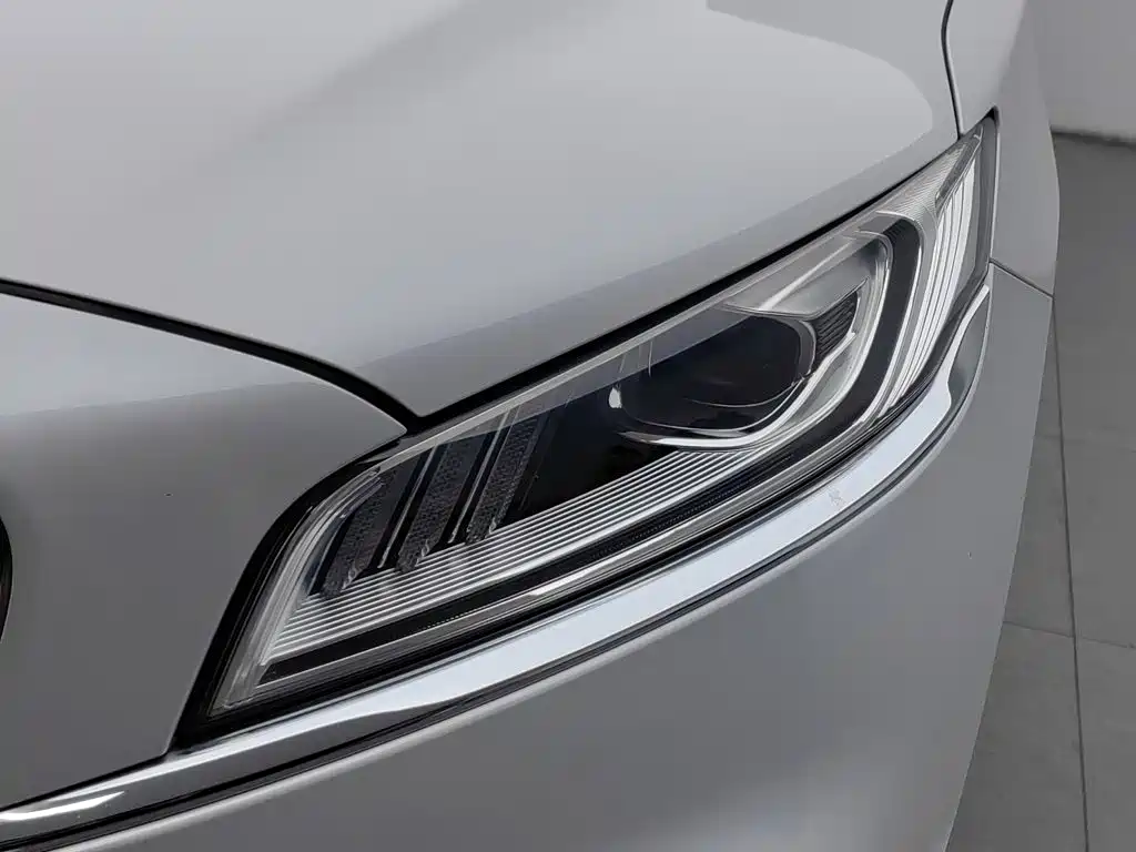 Geely Borui — фото 7