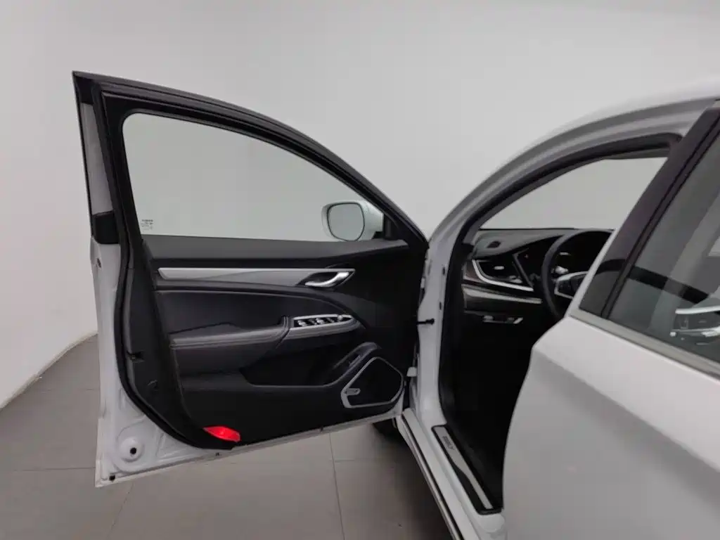 Geely Borui — фото 8