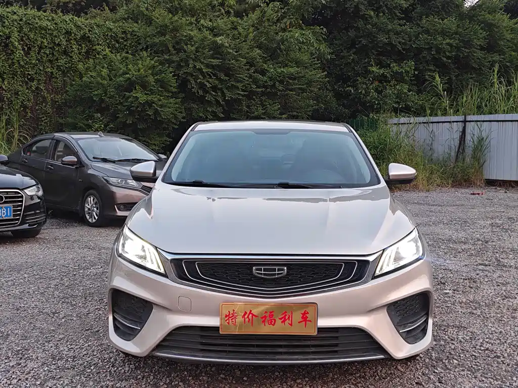 Geely Binrui