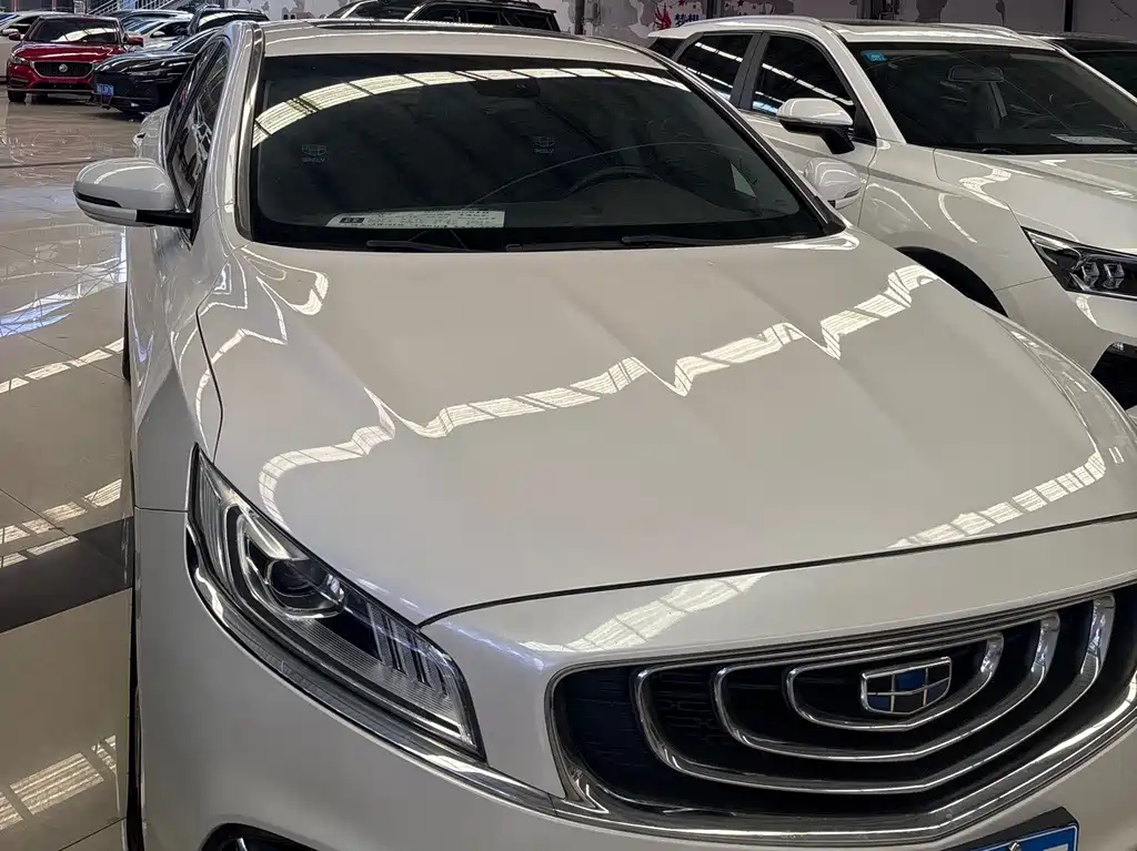 Geely Borui — фото 18