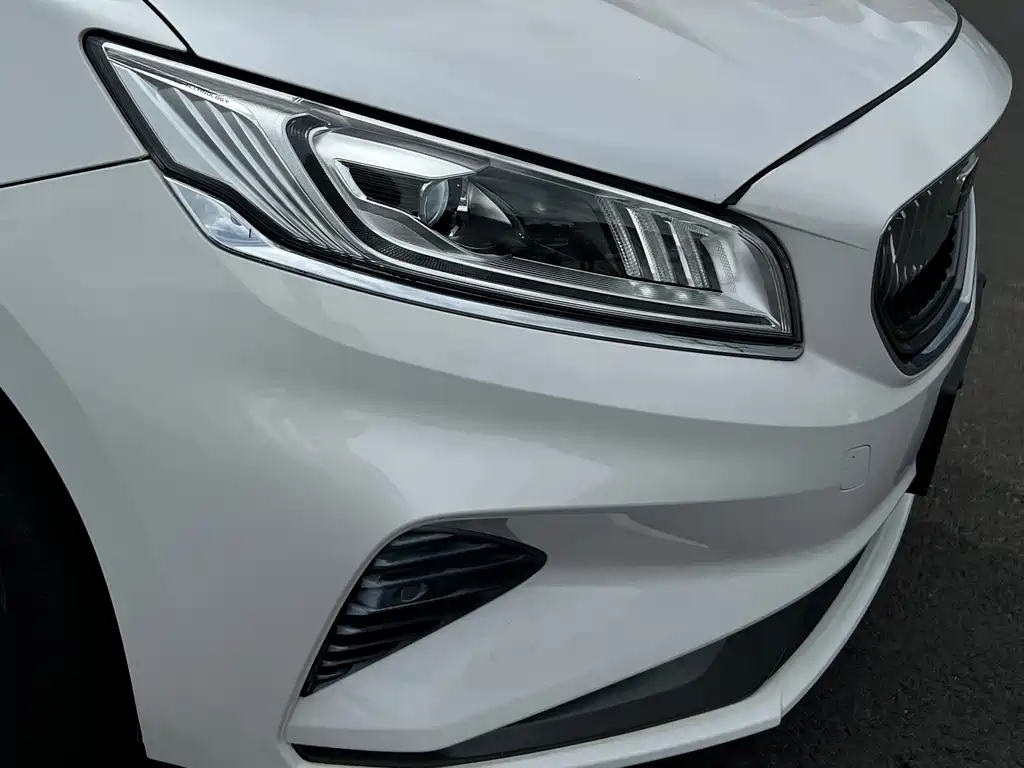 Geely Borui — фото 29