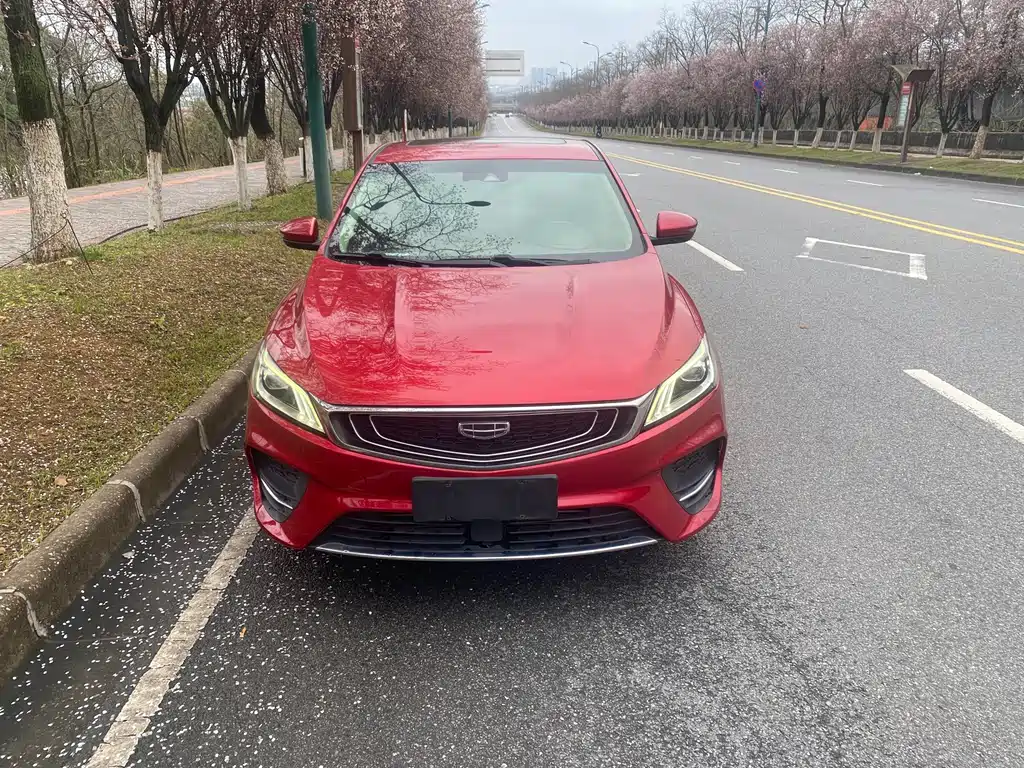 Geely Binrui — фото 2