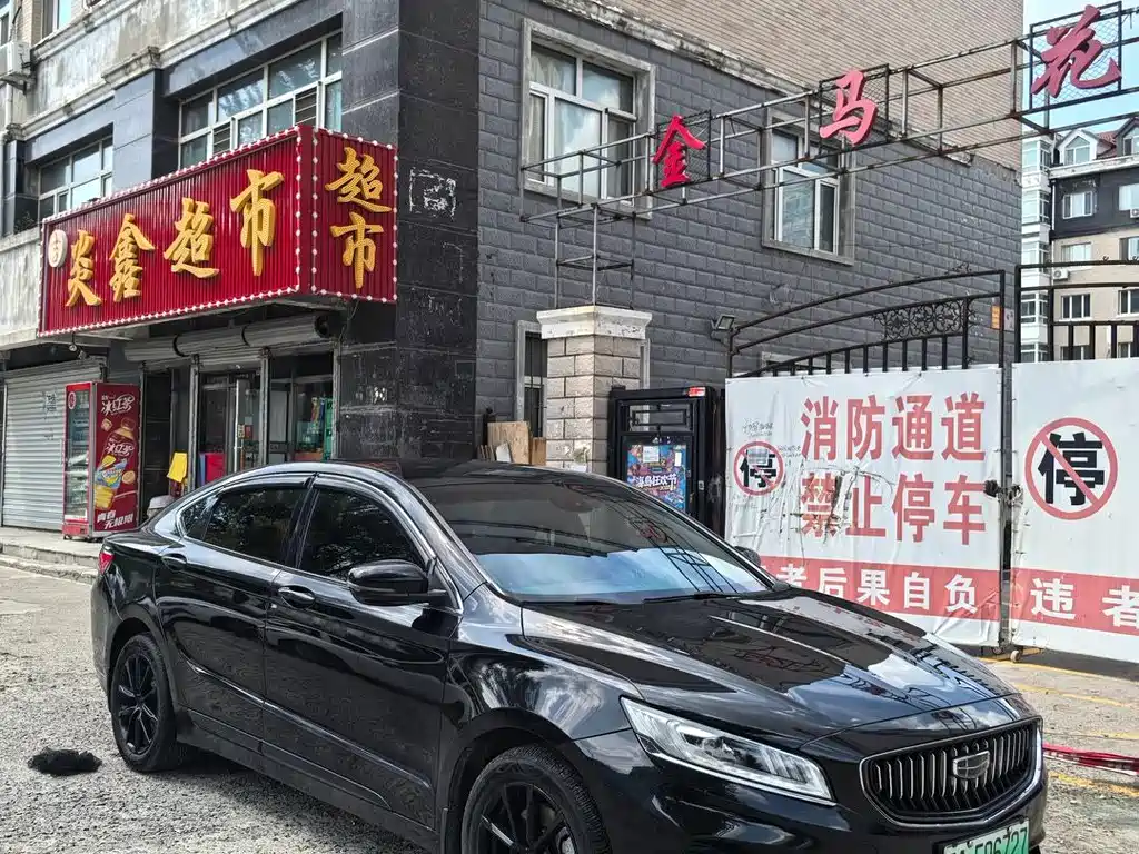 Geely Borui Hybrid — фото 3