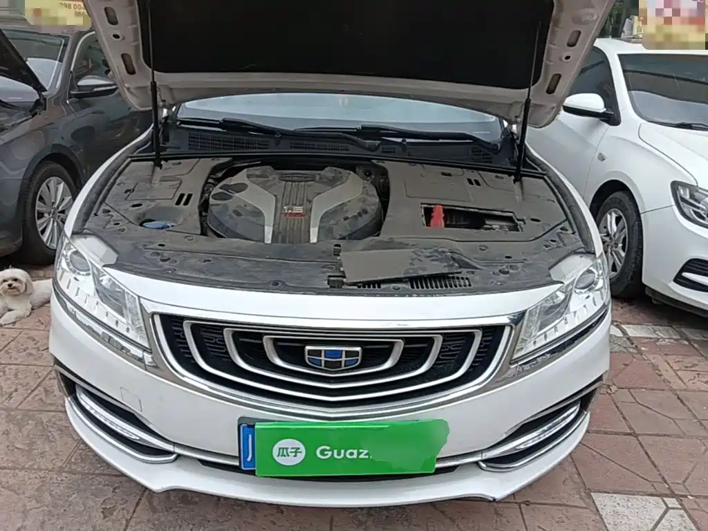 Geely Borui — фото 20