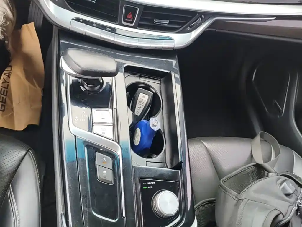 Geely Borui — фото 14