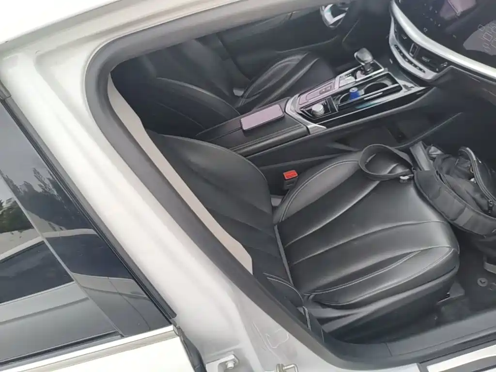Geely Borui — фото 25