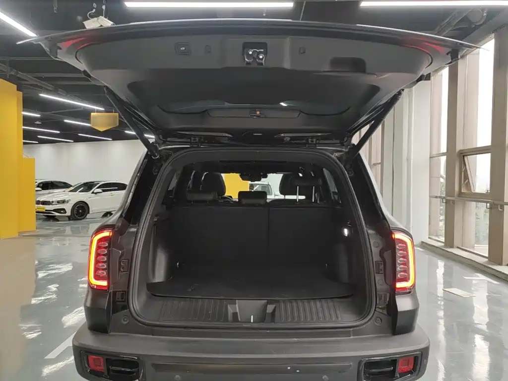 Haval Big Dog — фото 19