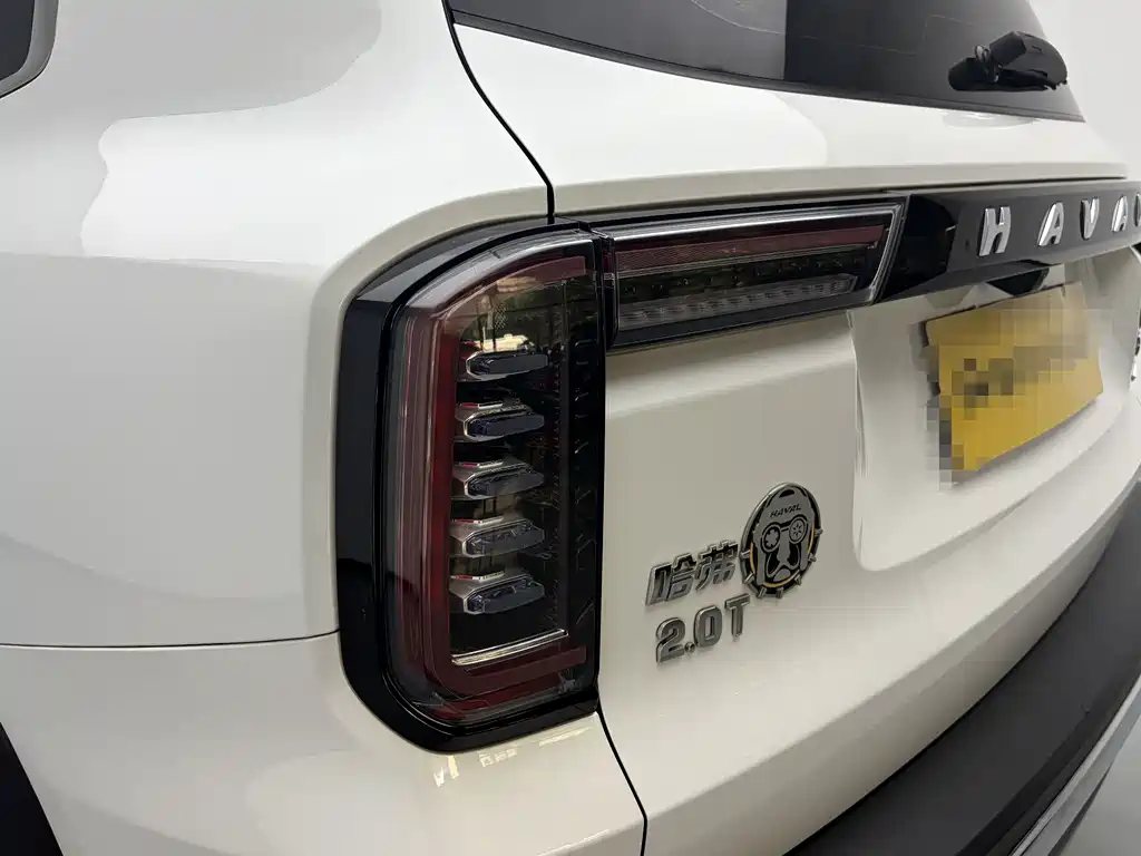 Haval Big Dog — фото 11