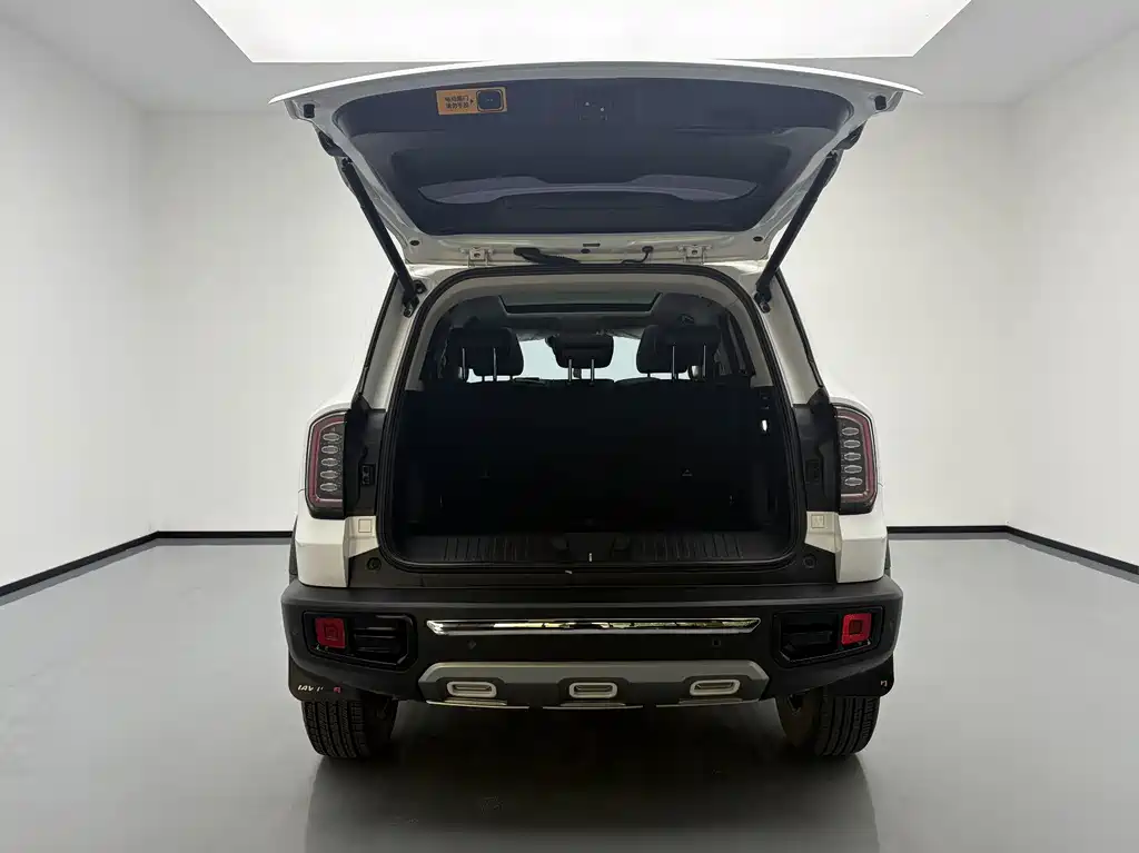 Haval Big Dog — фото 18