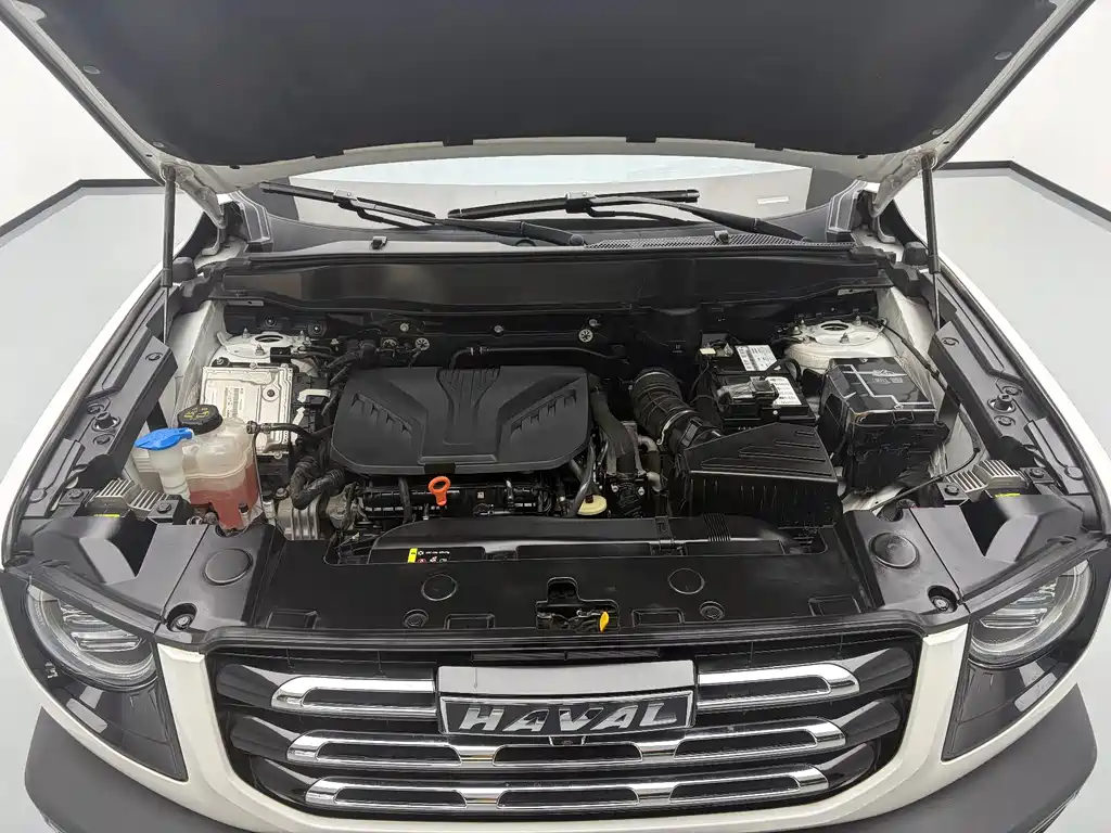 Haval Big Dog — фото 19