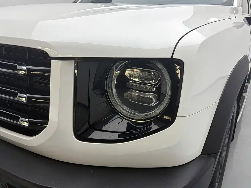 Haval Big Dog — фото 10