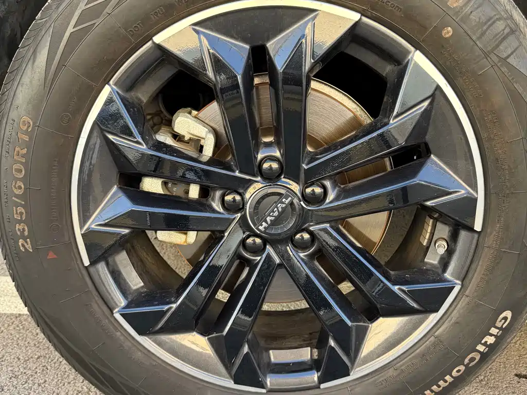Haval Big Dog — фото 11