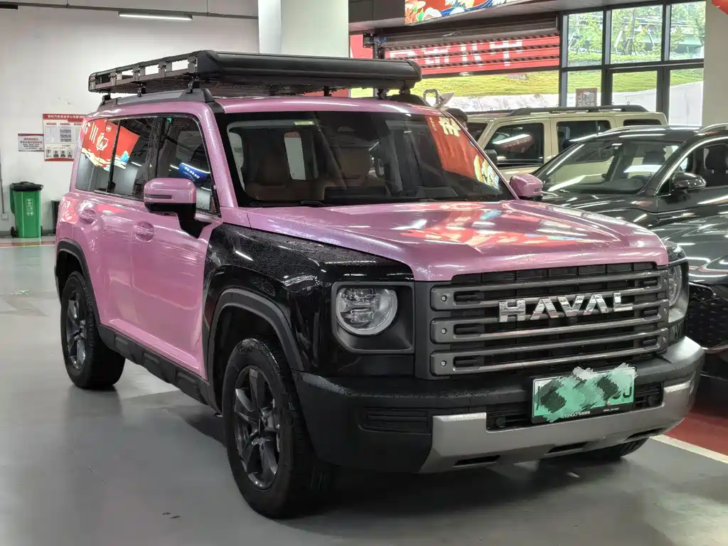 Haval Menglong New Energy — фото 3