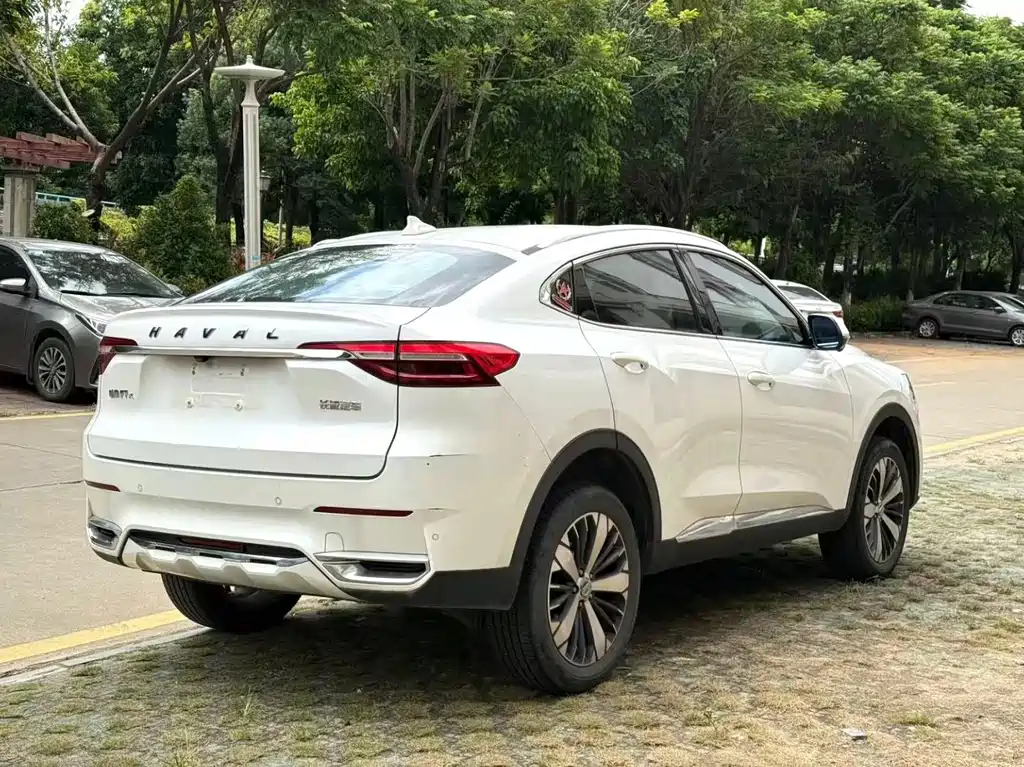 Haval F7x — фото 9