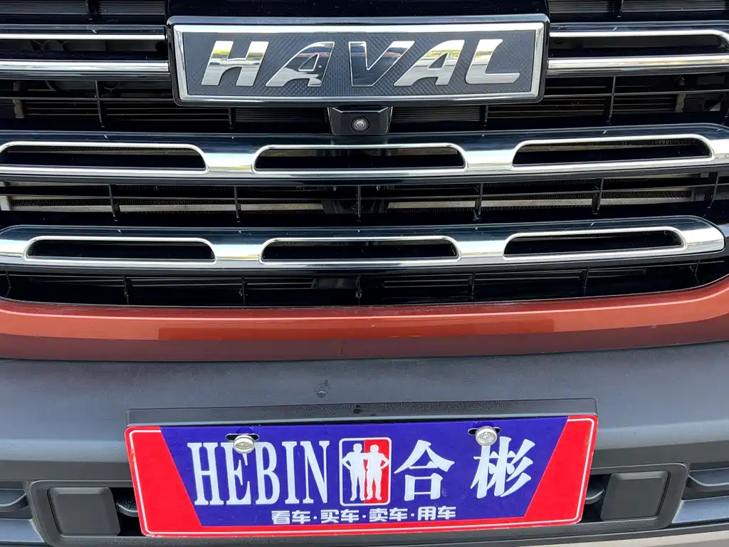 Haval Big Dog — фото 18