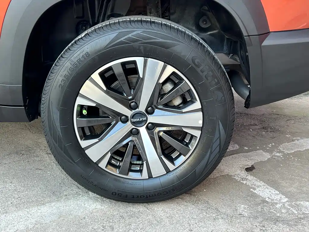 Haval Big Dog — фото 20