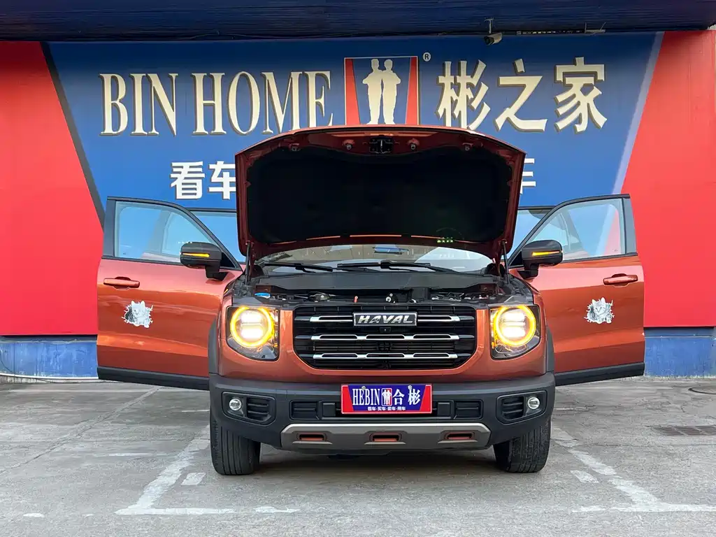 Haval Big Dog — фото 26