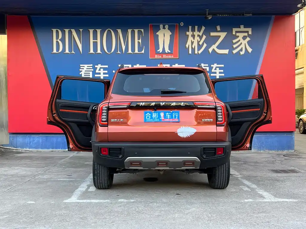 Haval Big Dog — фото 29