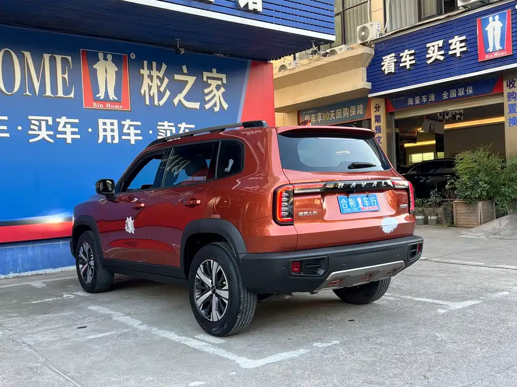 Haval Big Dog — фото 30