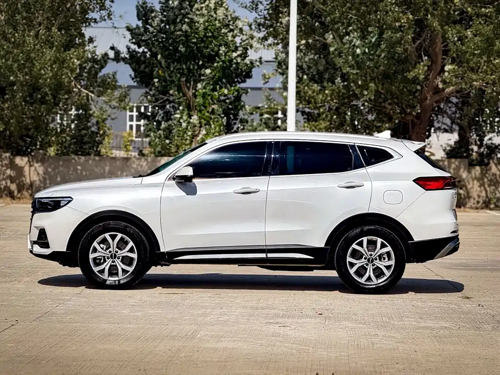 Haval H6 — фото 8